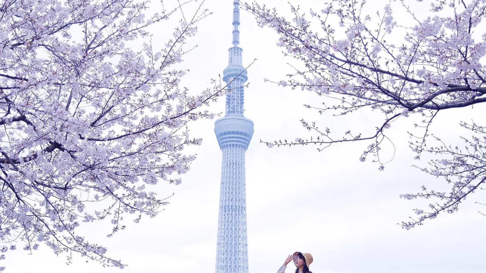 **** Ξενοδοχείο &Here Tokyo Ueno Ιαπωνία